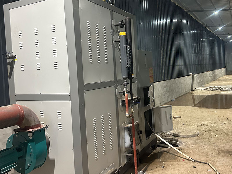 宁夏黄花菜加工现场